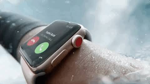 Combo2-1: GadgetsPods Max With ANC + Series 11 watch with 2 straps and watch charger